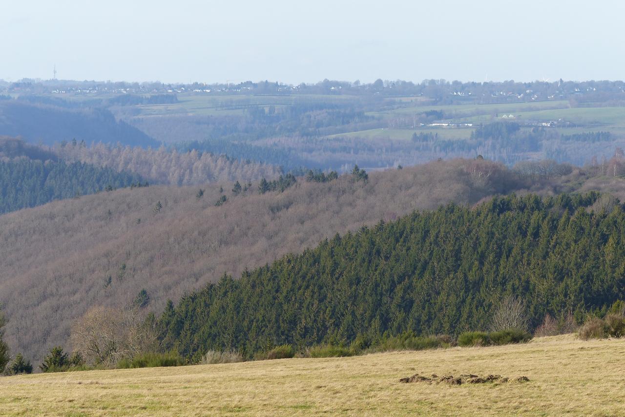 Chalets Am National Park Eifel Schleiden Luaran gambar